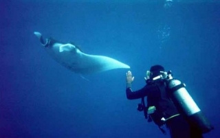  Viajes por los mares del mundo